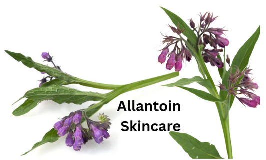 Allantoin: The Soothing Secret Ingredient Your Skin Needs