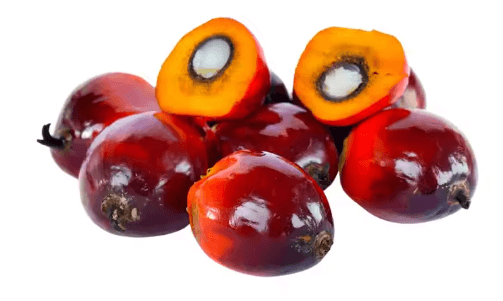 Batana Oil | 1 Gallon | 128 fl.oz. - Fresh red palm fruits, key ingredient for hair and skin care.