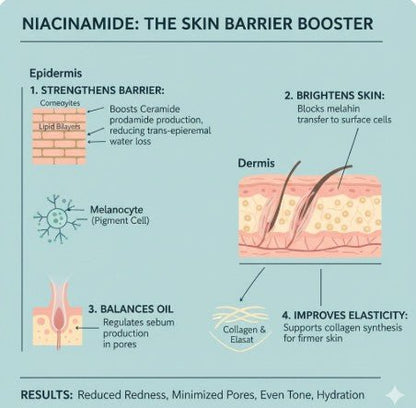Niacinamide Complex Serum: Advanced Brightening & Barrier Repair - 4EverAlive Labs