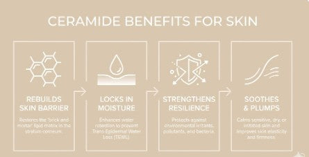 Diagram of ceramide benefits for skin on a beige background