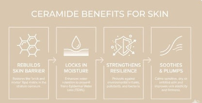 Diagram of ceramide benefits for skin on a beige background